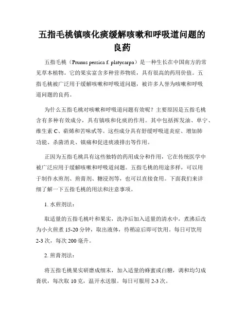五指毛桃镇咳化痰缓解咳嗽和呼吸道问题的良药