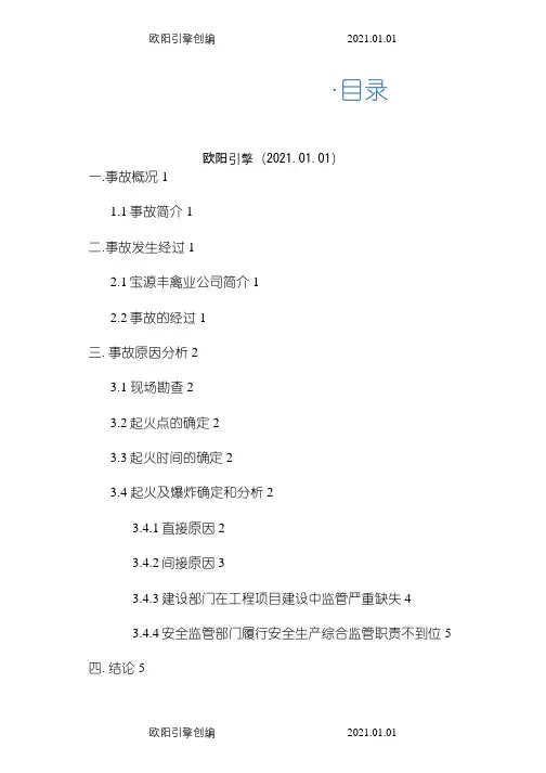 宝源丰事故调查报告之欧阳引擎创编