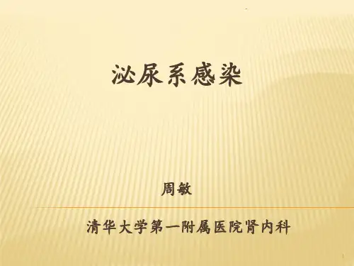 泌尿系感染ppt课件