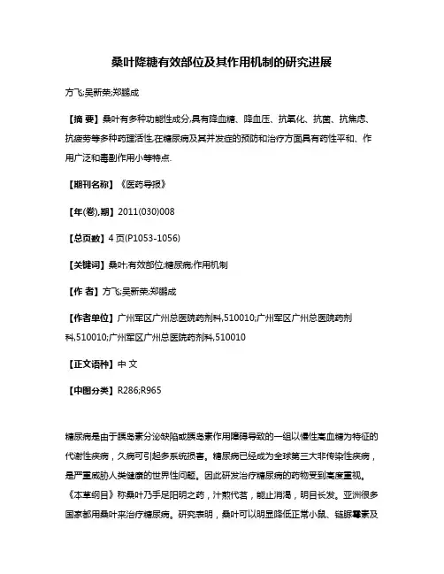 桑叶降糖有效部位及其作用机制的研究进展