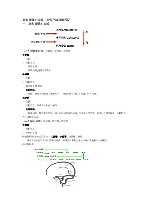 笔记19(脑、脊髓被膜和血管)