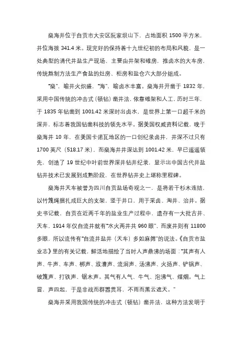 自贡燊海井心得体会