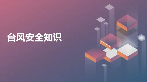 知识守护生命主题班会 台风
