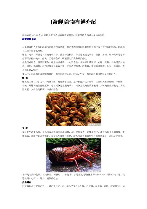 海南海鲜介绍