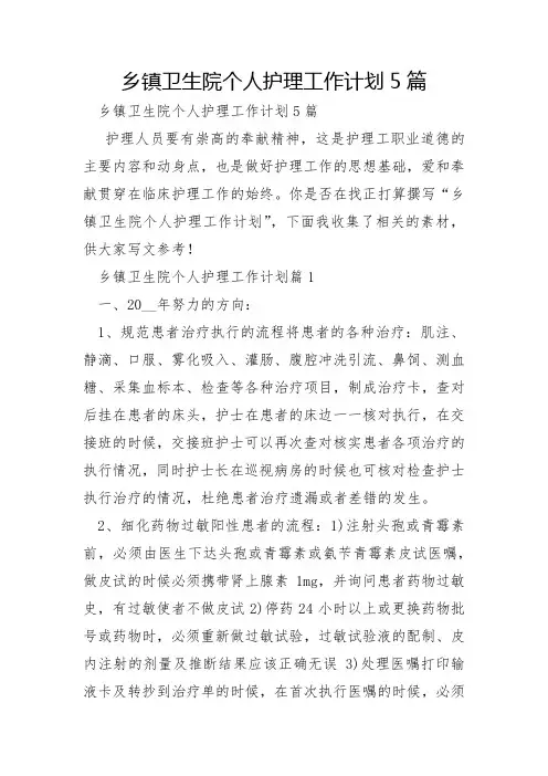 乡镇卫生院个人护理工作计划5篇