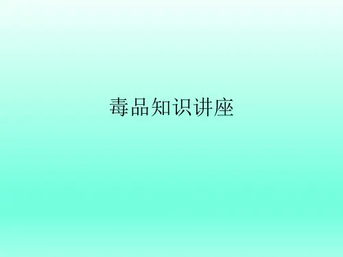 毒品知识讲座 课件ppt
