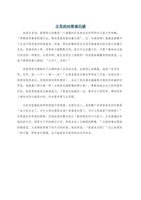 北岛的回答读后感