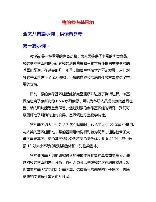 猪的参考基因组