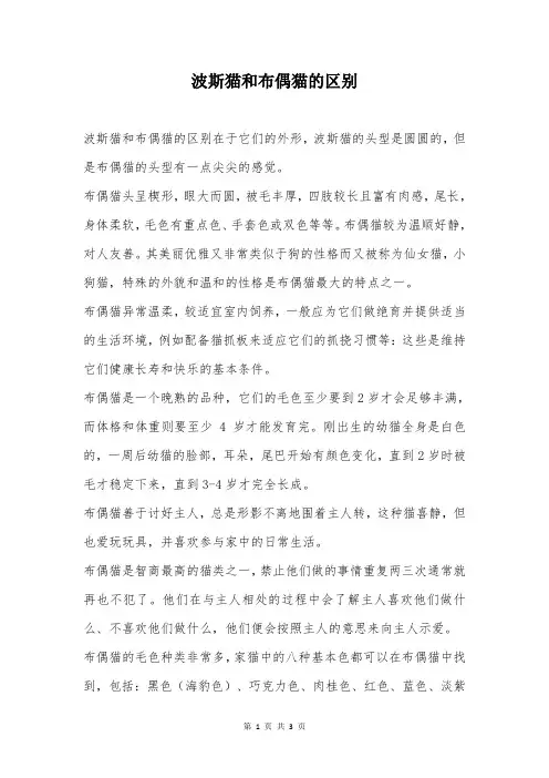 波斯猫和布偶猫的区别