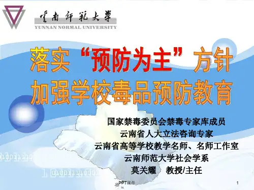 河湾学校禁毒知识  ppt课件