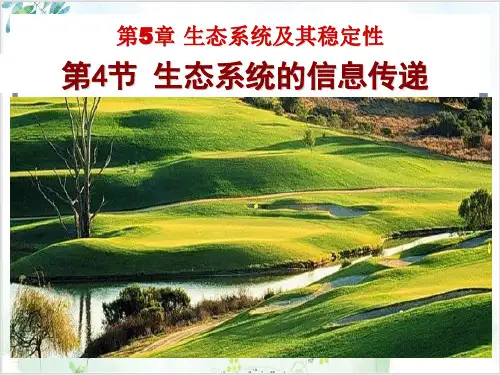 人教版高中生物必修三生态系统的信息传递(25张)_2-PPT优秀课件