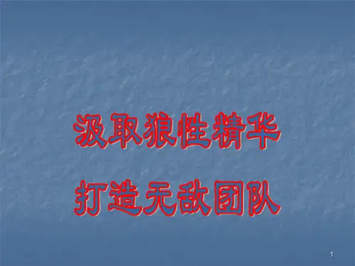 打造狼性团队ppt课件
