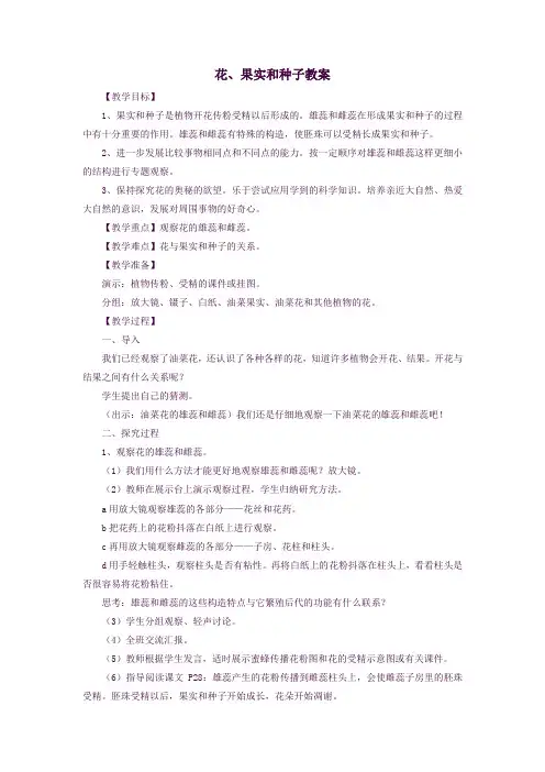 四年级科学下册2.3《花、果实和种子》教案教科版
