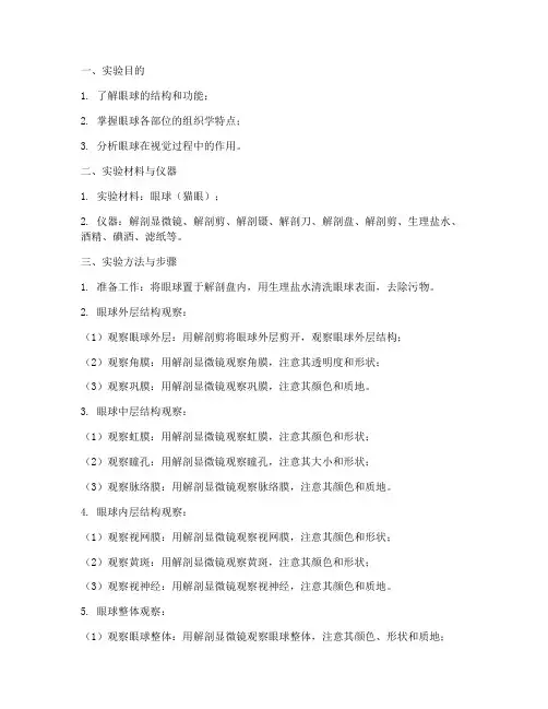 眼球实验报告