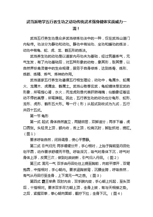 武当派绝学五行养生功之动功传统武术强身健体实战威力一流！