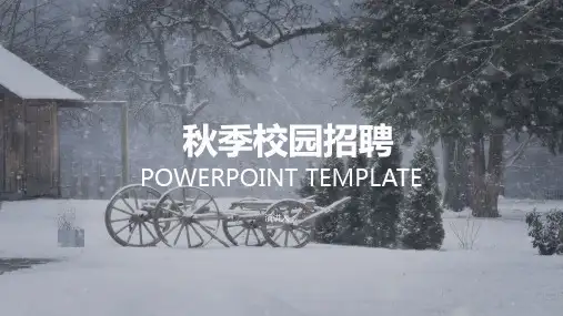 企业招聘模板PPT (25)