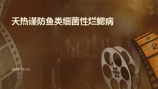 天热谨防鱼类细菌性烂鳃病