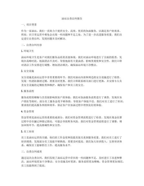 油站自查自纠报告