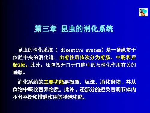 第3章消化系统