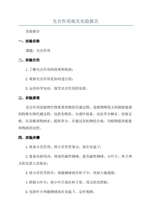 光合作用相关实验报告