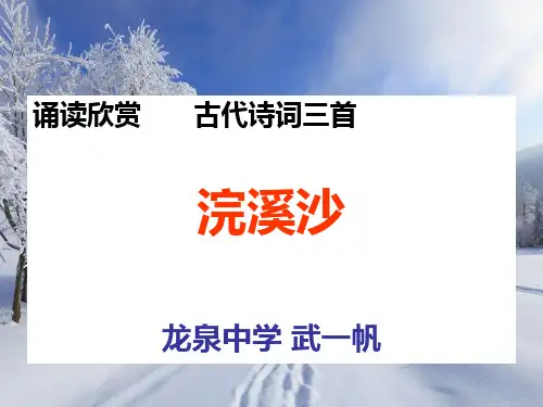 《浣溪沙-》演示文稿PPT课件