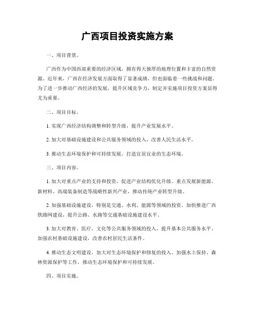广西项目投资实施方案