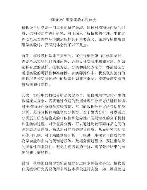植物蛋白组学实验心得体会