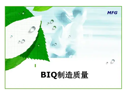 BIQ培训