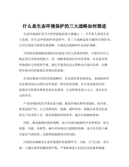 什么是生态环境保护的三大战略如何推进