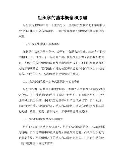 组织学的基本概念和原理