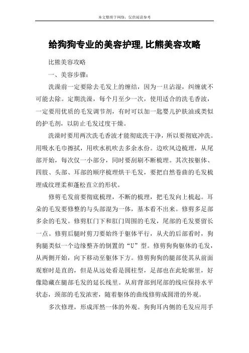给狗狗专业的美容护理,比熊美容攻略