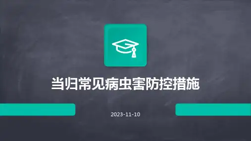 当归常见病虫害防控措施