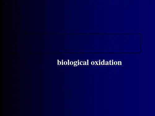 生物化学之生物氧化反应