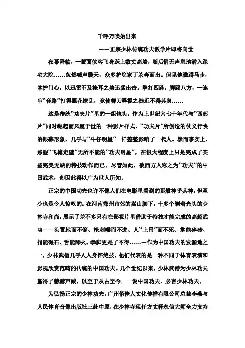正宗少林传统功夫教学片