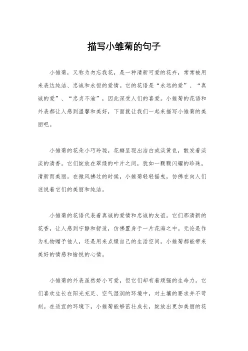 描写小雏菊的句子