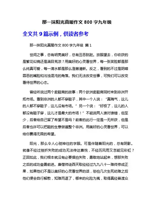 那一抹阳光真暖作文800字九年级