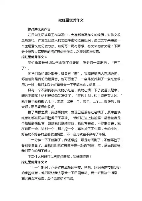 挖红薯优秀作文
