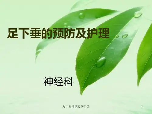 足下垂的预防及护理PPT课件