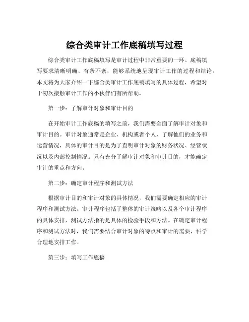 综合类审计工作底稿填写过程