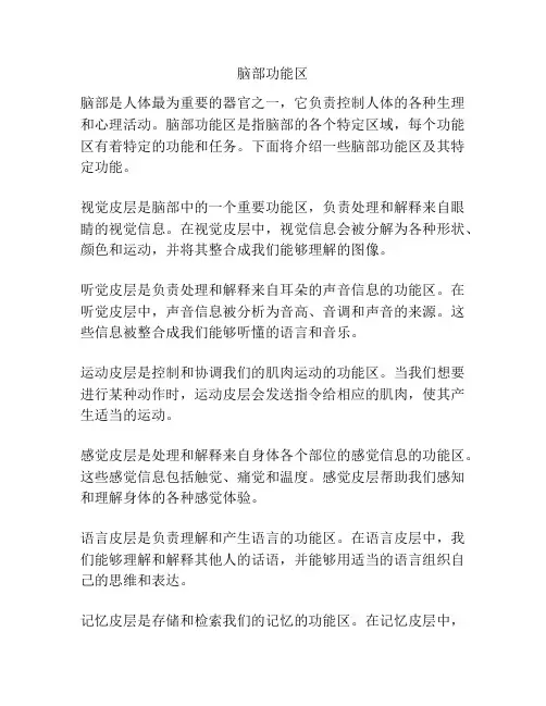 脑部功能区