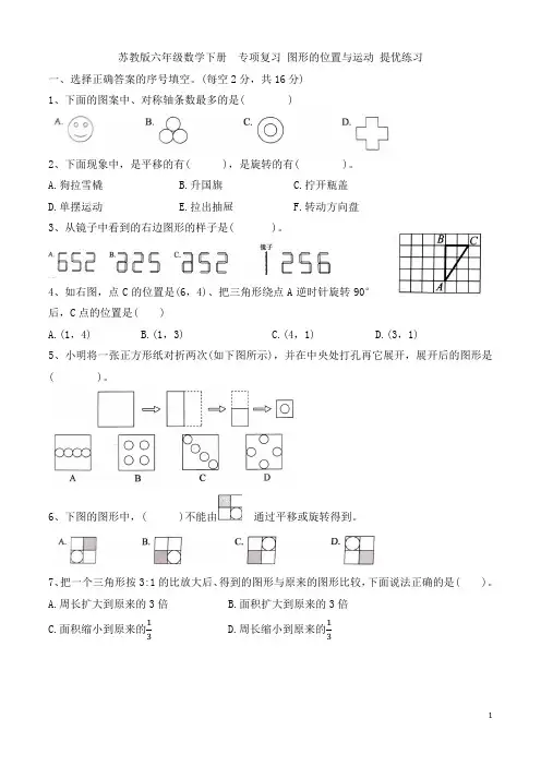 苏教版 六年级数学下册 图形的位置与运动练习