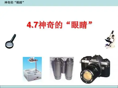 沪教版上海科技版八年级物理 神奇的眼睛  PPT课件