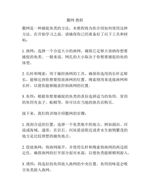 撒网 教程