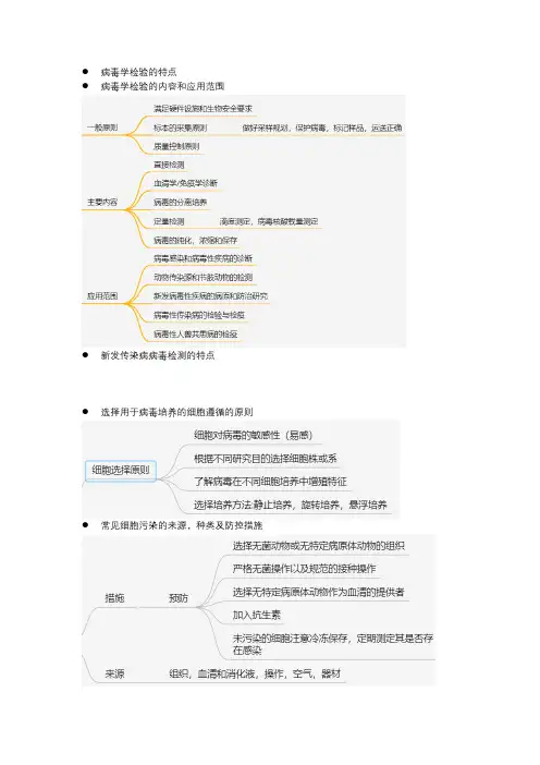 病毒学检验知识点