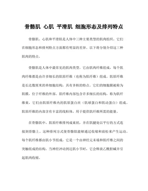 骨骼肌 心肌 平滑肌 细胞形态及排列特点