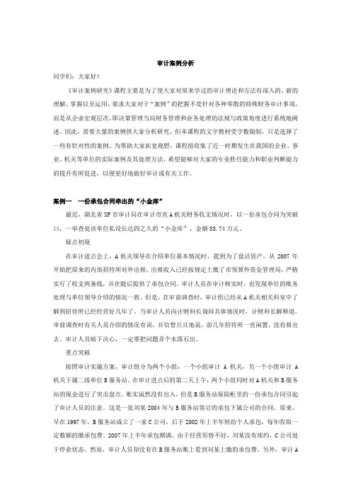 审计案例研究分析
