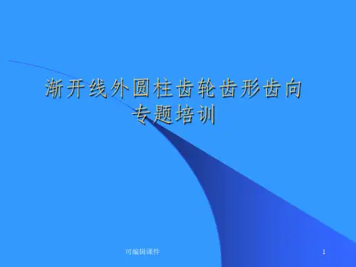 齿轮的齿形齿向介绍PPT课件