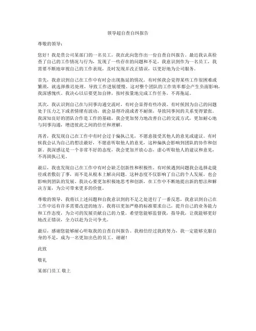 领导超自查自纠报告