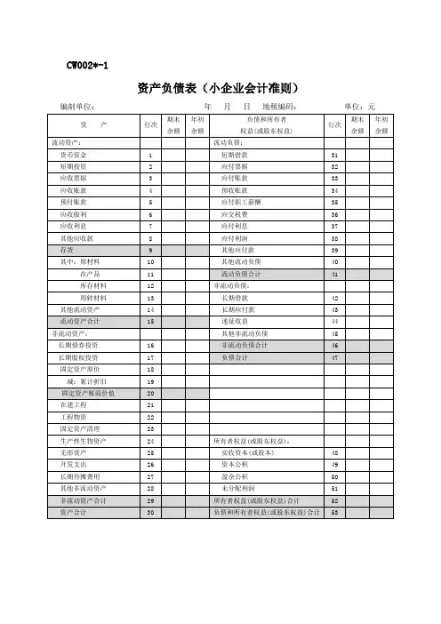 财务报表样式(小企业会计准则)范文