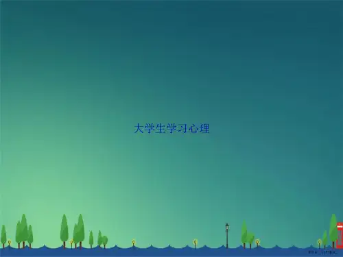 大学生学习心理讲课文档